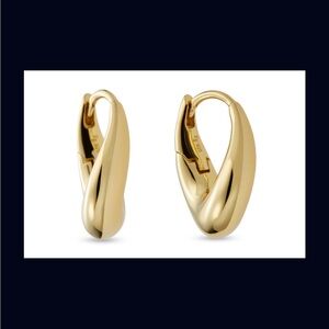 NWT-Elegant Gold Hoop Earrings